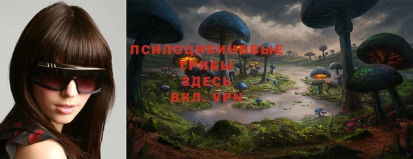 МДПВ Переславль-Залесский